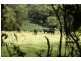 669 Jamberoo Mountain Road, Jamberoo NSW 2533
