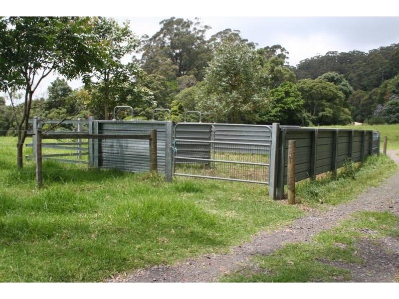 669 Jamberoo Mountain Road, Jamberoo NSW 2533