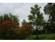 669 Jamberoo Mountain Road, Jamberoo NSW 2533