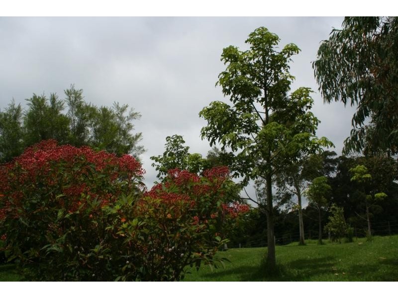 669 Jamberoo Mountain Road, Jamberoo NSW 2533