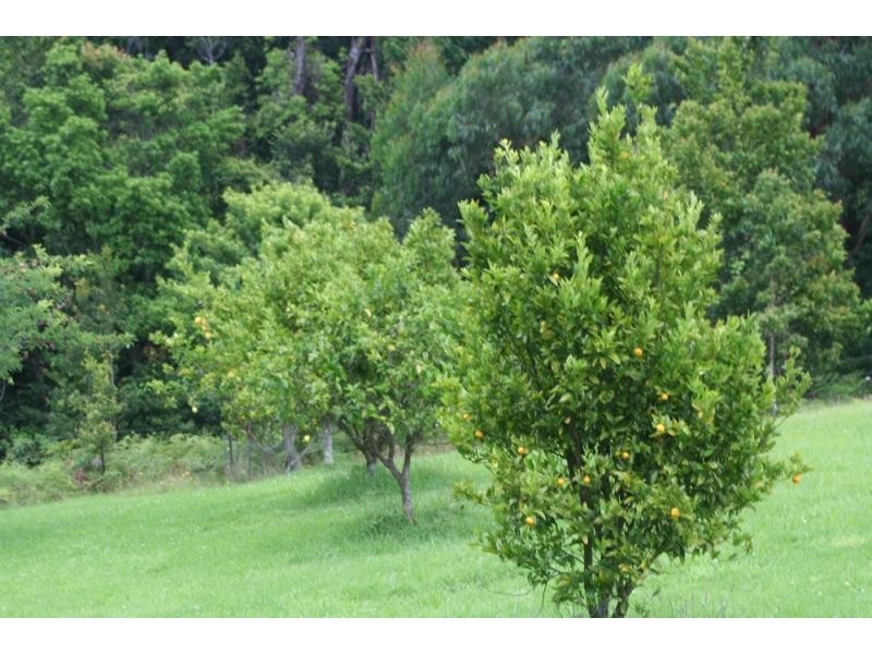 669 Jamberoo Mountain Road, Jamberoo NSW 2533