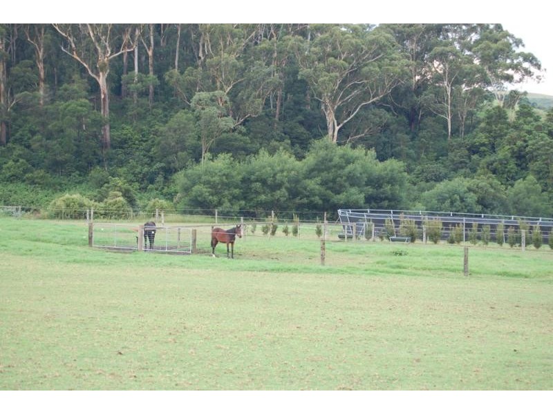 Jamberoo NSW 2533