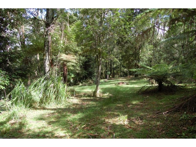 946 Jamberoo Mountain Road, Jamberoo NSW 2533