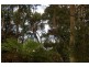 946 Jamberoo Mountain Road, Jamberoo NSW 2533