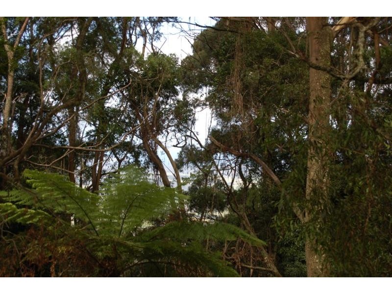 946 Jamberoo Mountain Road, Jamberoo NSW 2533