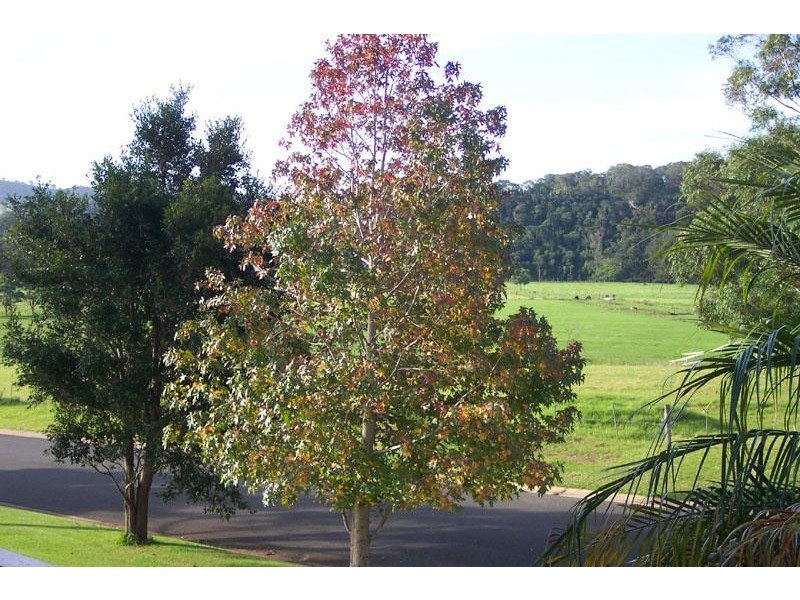 8 TATE PLACE, Jamberoo NSW 2533