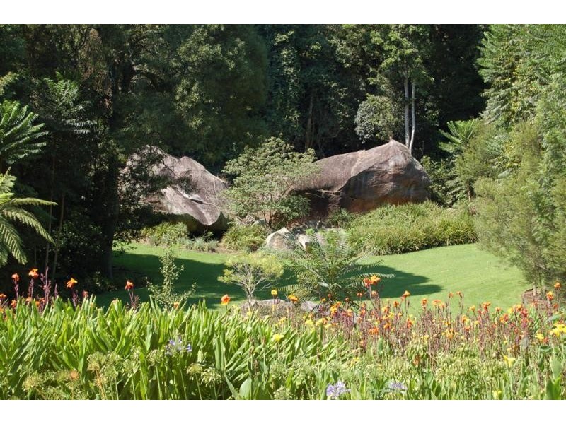 Jamberoo NSW 2533