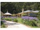 1510 Jamberoo Mountain Road, Robertson NSW 2577