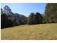 1510 Jamberoo Mountain Road, Robertson NSW 2577
