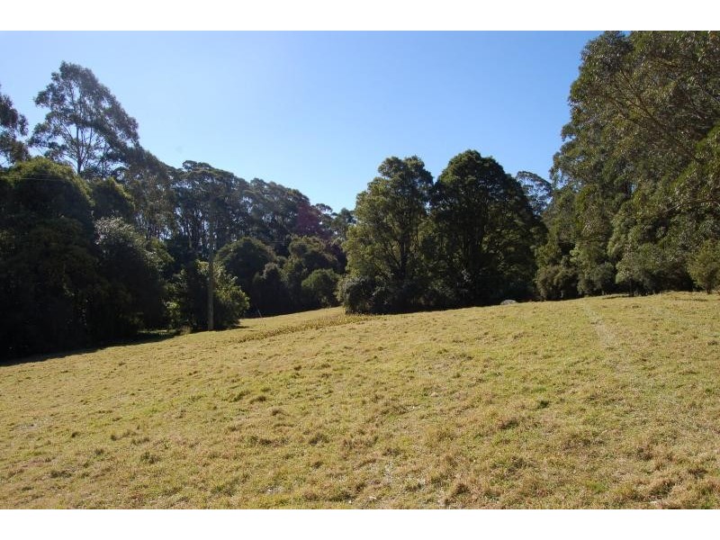 1510 Jamberoo Mountain Road, Robertson NSW 2577 the real estate