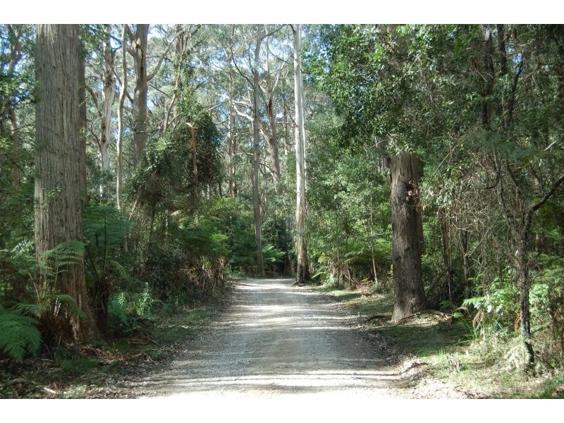 1510 Jamberoo Mountain Road, Robertson NSW 2577 the real estate