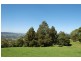Lot 601/ Wallaby Hill, Jamberoo NSW 2533