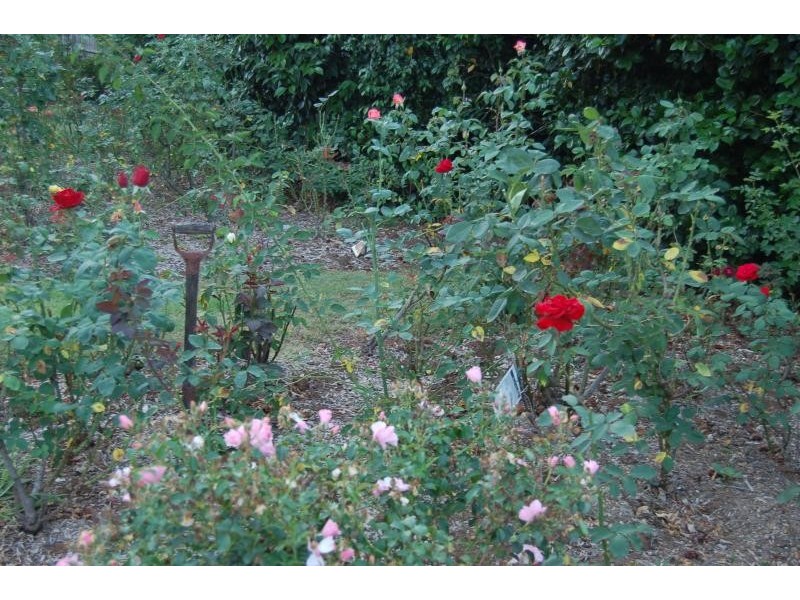 80 Churchill Street, Jamberoo NSW 2533