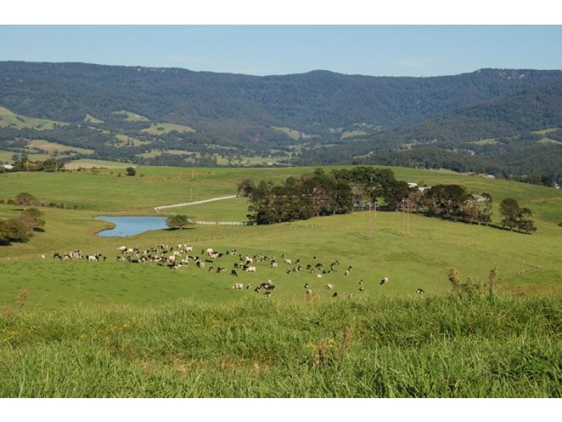 Lot 5/ Minnamurra Lane, Jamberoo NSW 2533