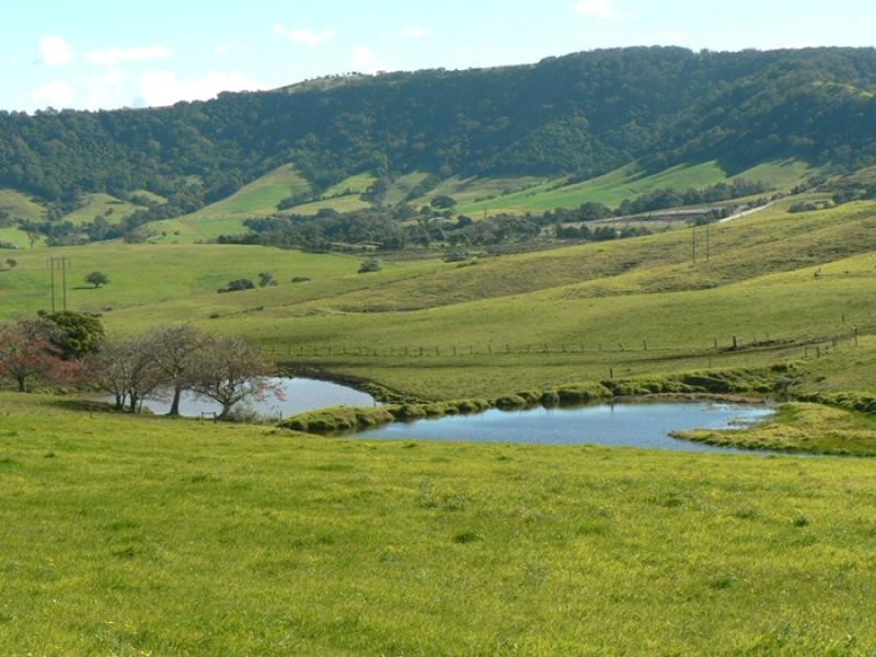 Lot 5/ Minnamurra Lane, Jamberoo NSW 2533