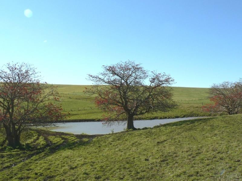 Lot 5/ Minnamurra Lane, Jamberoo NSW 2533