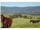 Lot 5/ Minnamurra Lane, Jamberoo NSW 2533