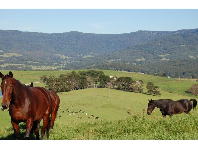 Lot 5/ Minnamurra Lane, Jamberoo NSW 2533