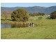 Lot 5/ Minnamurra Lane, Jamberoo NSW 2533