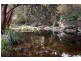 125 Minnamurra Falls Road, Jamberoo NSW 2533