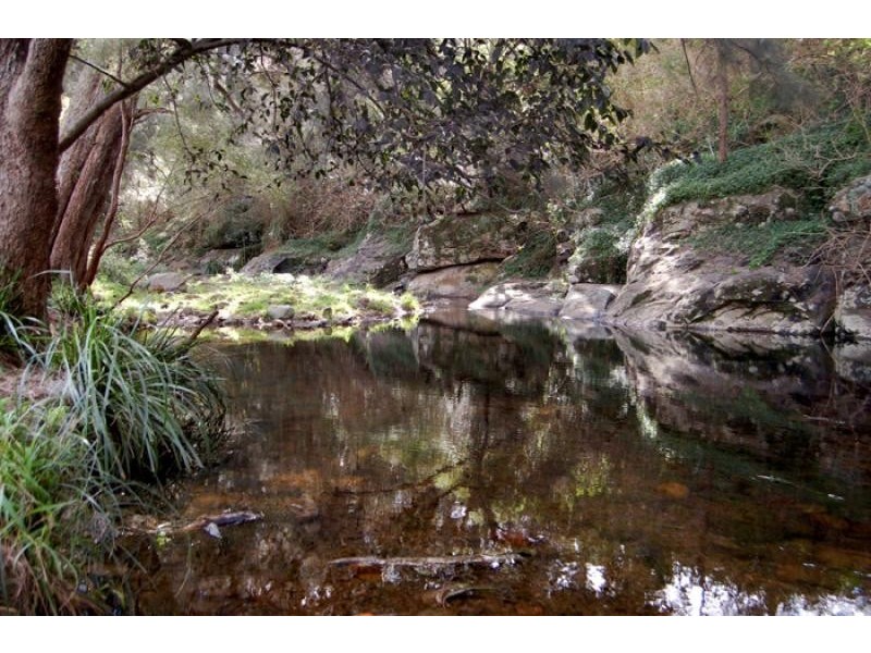125 Minnamurra Falls Road, Jamberoo NSW 2533