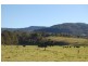 125 Minnamurra Falls Road, Jamberoo NSW 2533