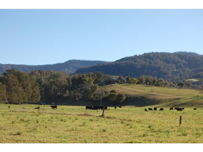 125 Minnamurra Falls Road, Jamberoo NSW 2533