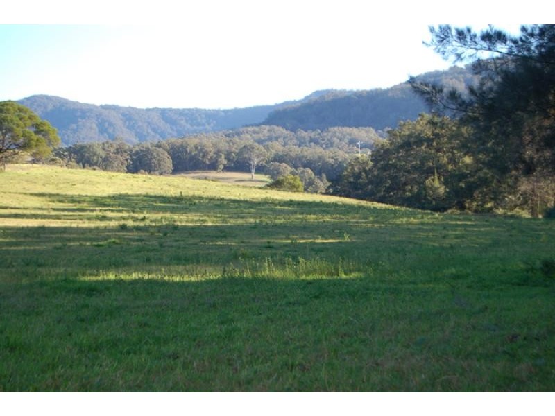 125 Minnamurra Falls Road, Jamberoo NSW 2533
