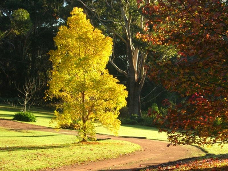 513 Yelllow Rock Rd, Yellow Rock NSW 2527