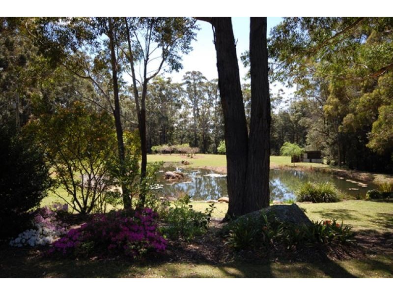 513 Yellow Rock Road, Yellow Rock via, Jamberoo NSW 2533