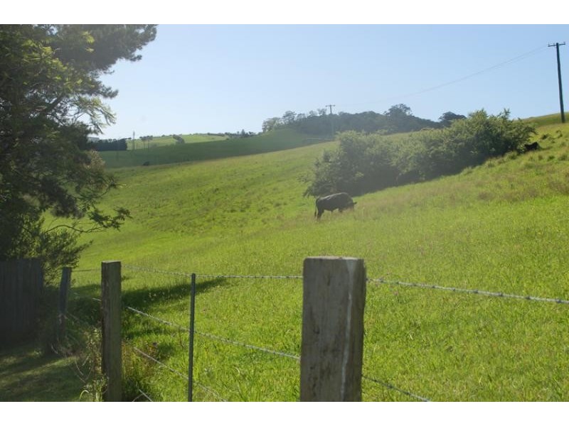 51 Macquarie Street, Jamberoo NSW 2533