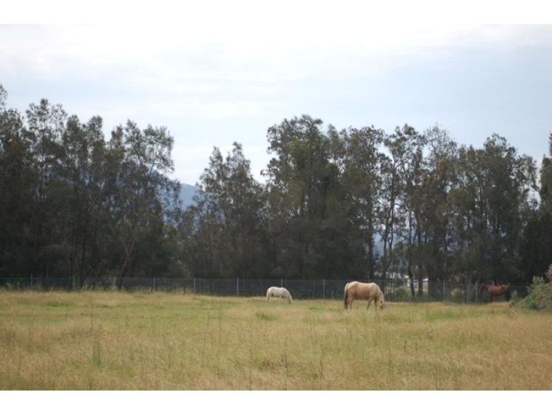 72 Rondanella Drive, Kanahooka NSW 2530