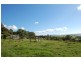 Jamberoo NSW 2533