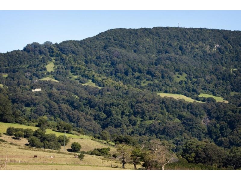 Jamberoo NSW 2533