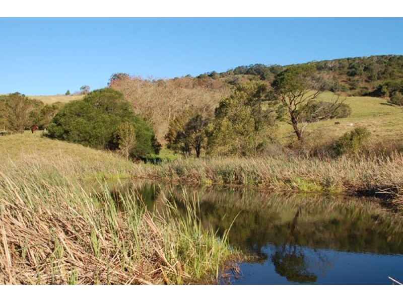 19 Macquarie Street, Jamberoo NSW 2533