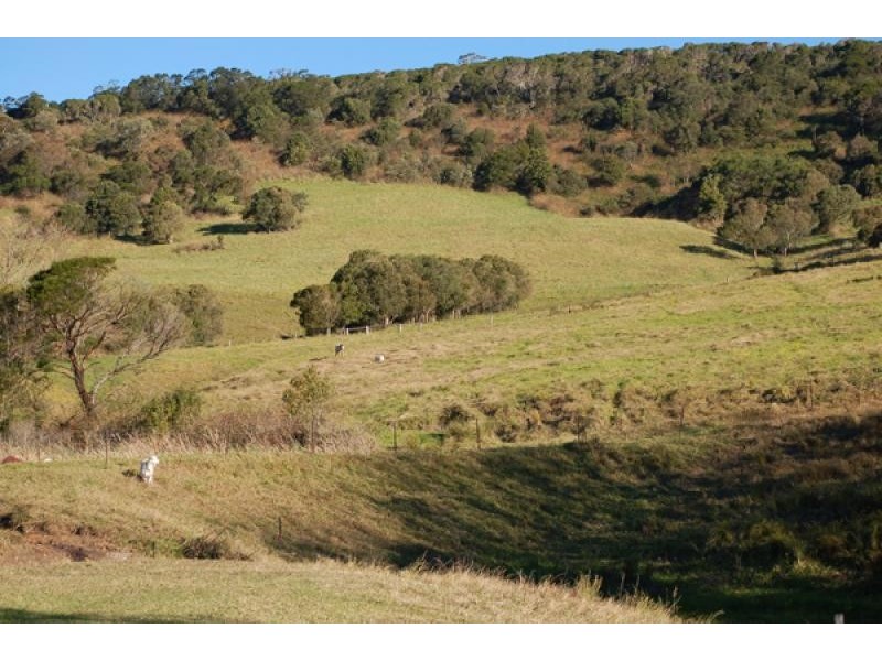 19 Macquarie Street, Jamberoo NSW 2533