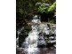 946 Jamberoo Mountain Road, Jamberoo NSW 2533