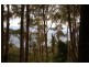 946 Jamberoo Mountain Road, Jamberoo NSW 2533