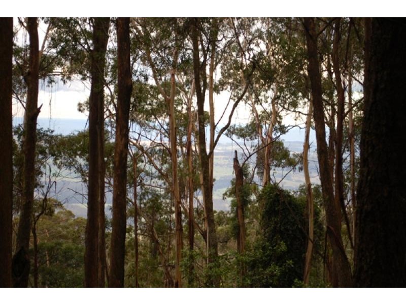 946 Jamberoo Mountain Road, Jamberoo NSW 2533