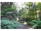 946 Jamberoo Mountain Road, Jamberoo NSW 2533