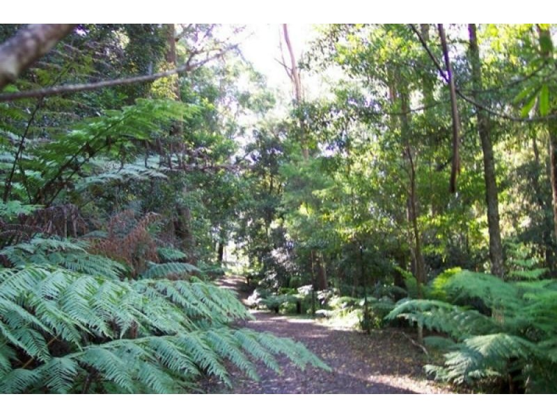 946 Jamberoo Mountain Road, Jamberoo NSW 2533