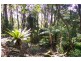 946 Jamberoo Mountain Road, Jamberoo NSW 2533