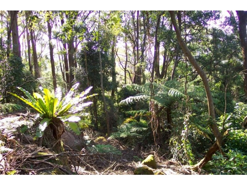946 Jamberoo Mountain Road, Jamberoo NSW 2533