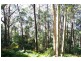946 Jamberoo Mountain Road, Jamberoo NSW 2533