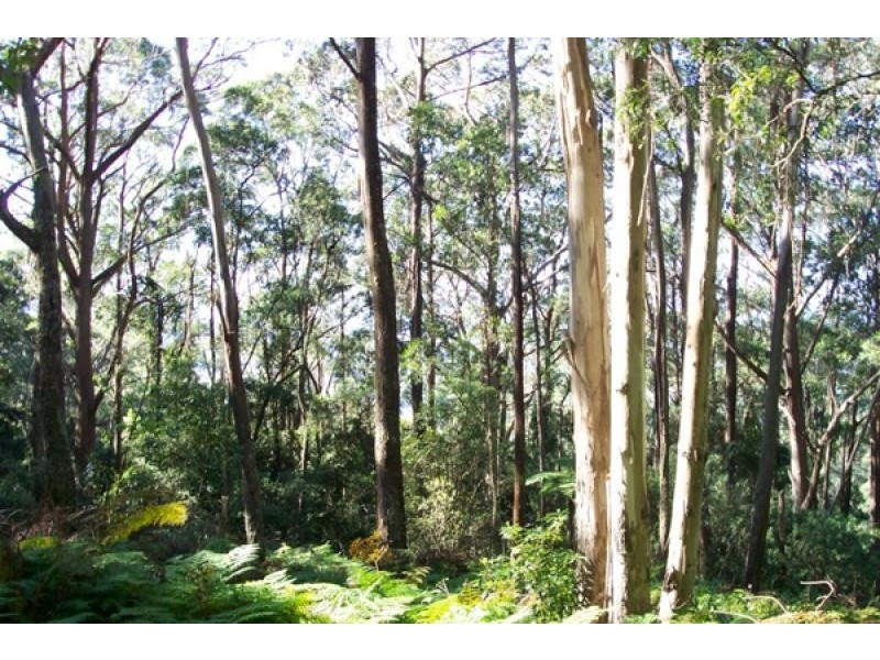 946 Jamberoo Mountain Road, Jamberoo NSW 2533