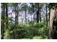 946 Jamberoo Mountain Road, Jamberoo NSW 2533