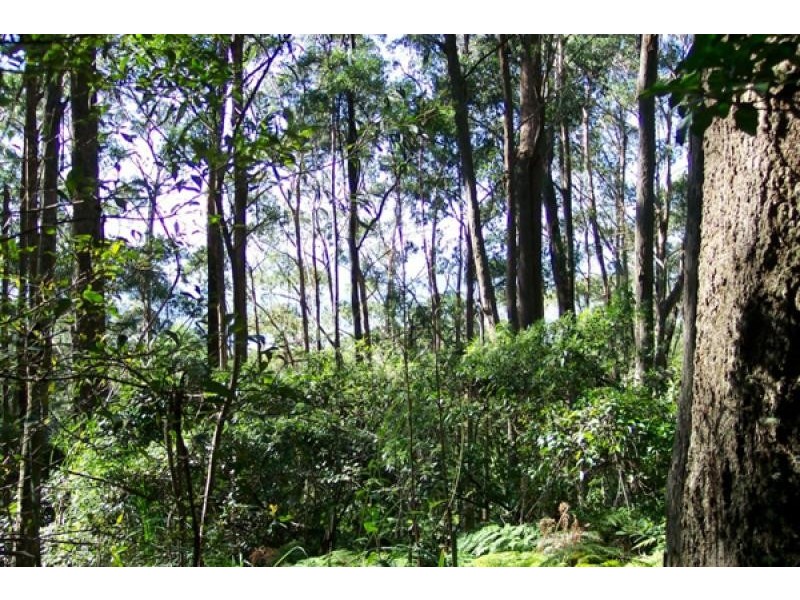 946 Jamberoo Mountain Road, Jamberoo NSW 2533