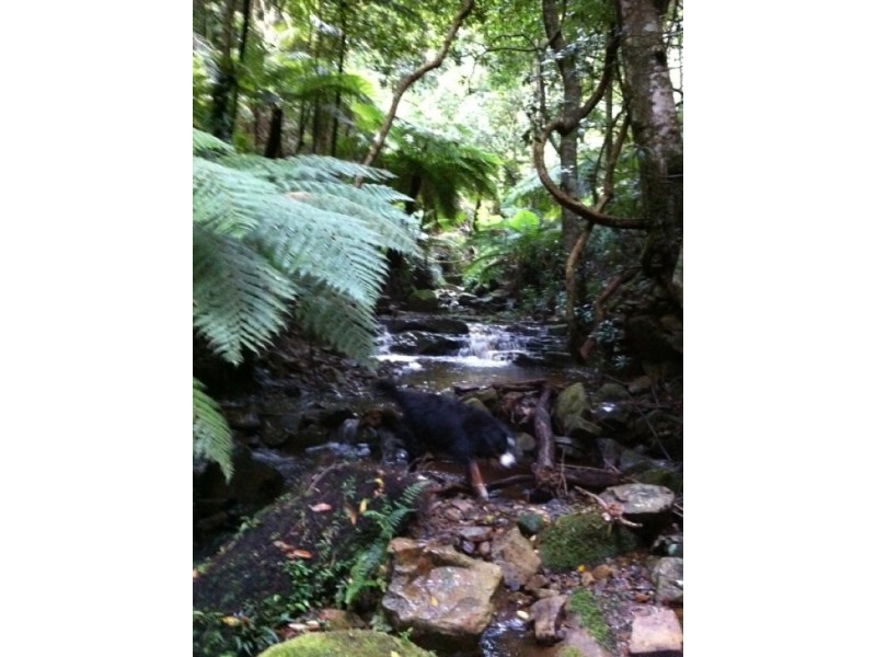 946 Jamberoo Mountain Road, Jamberoo NSW 2533