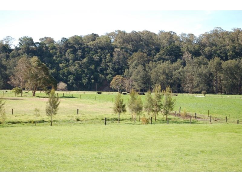 9a Tate Place, Jamberoo NSW 2533