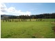 9a Tate Place, Jamberoo NSW 2533